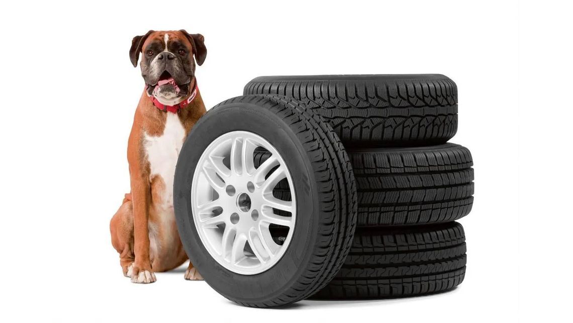 Kleber Urvic tyres