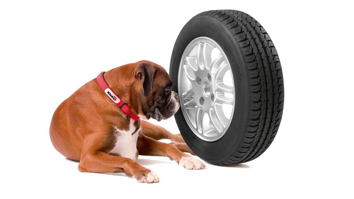 Urvic tyre
