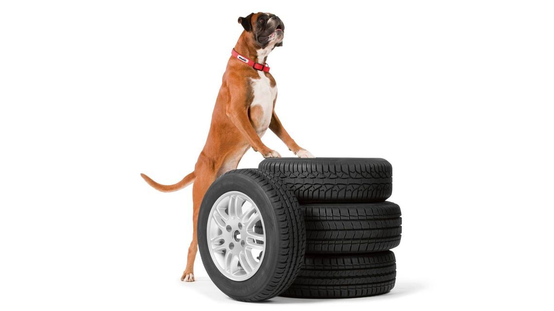 Urvic tyre