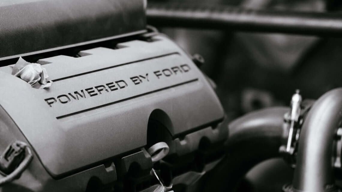 slider fastfinch 4