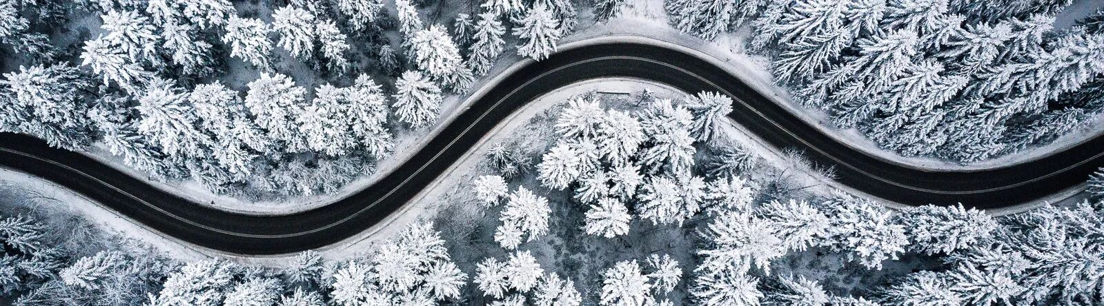 cknasgjjq018z01oe5km28gmt bfg header season winter 1440x400 max