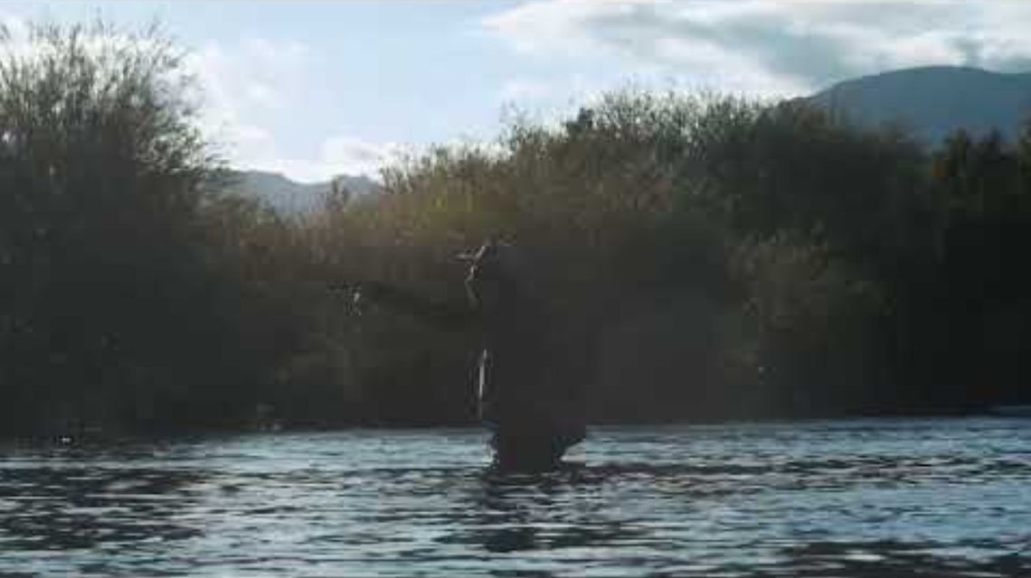 video