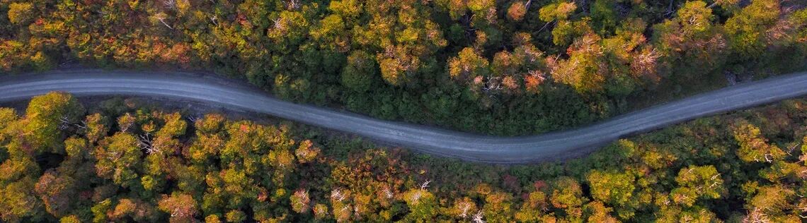 zn4zvlhr9vqdmirgkaq7k5r1 cknasgj4o018y01oec8ovi08a bfg header season all season 1440x400 max full hd 1