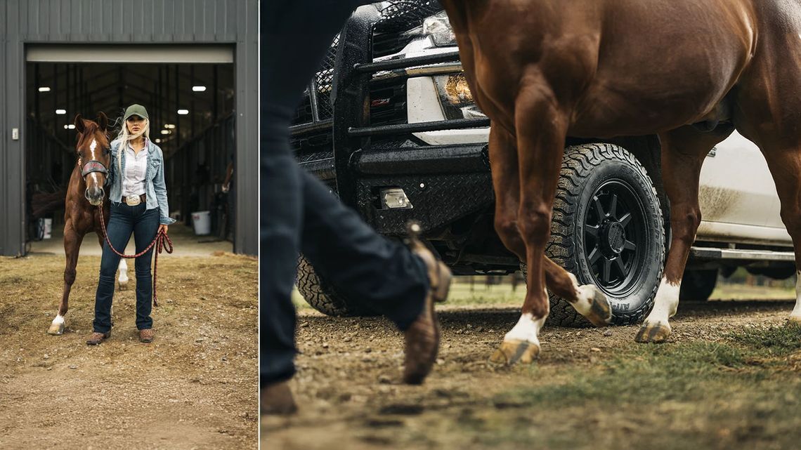 Cutting Horse Competition: Essential Gear