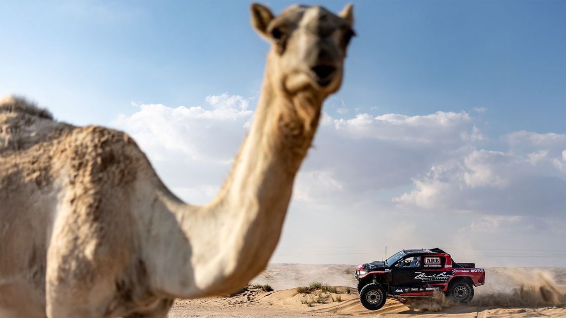 dy4dh3uyrdo51juvb93ismpv cm5ar46p703l301j6sggc1n3w si202412030514 two thirds full