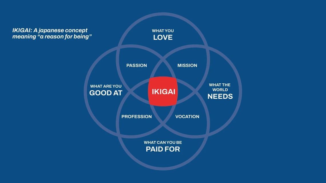 Ikigai - Approaching evs with fellten systems