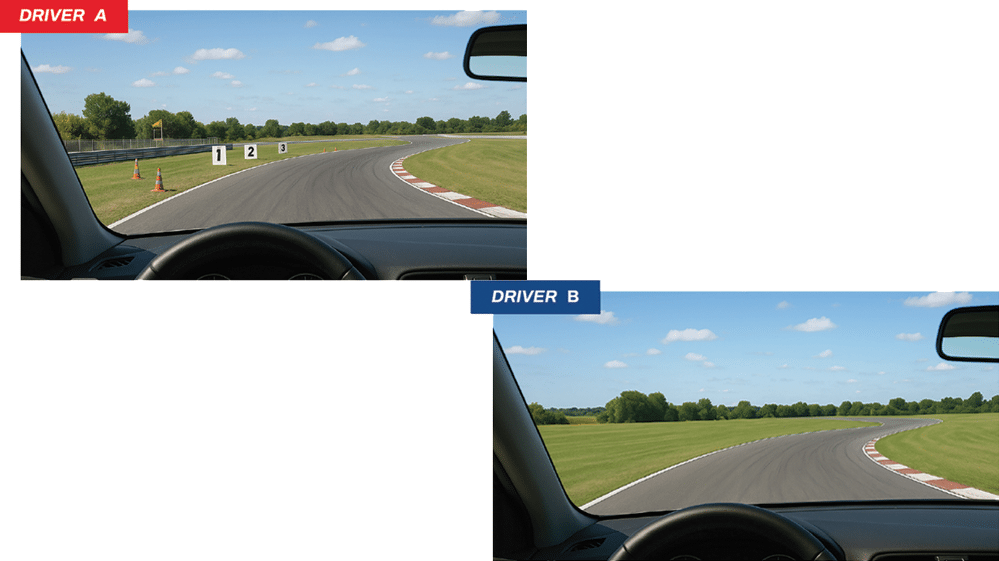 dg perfdrivermind drivercomp2