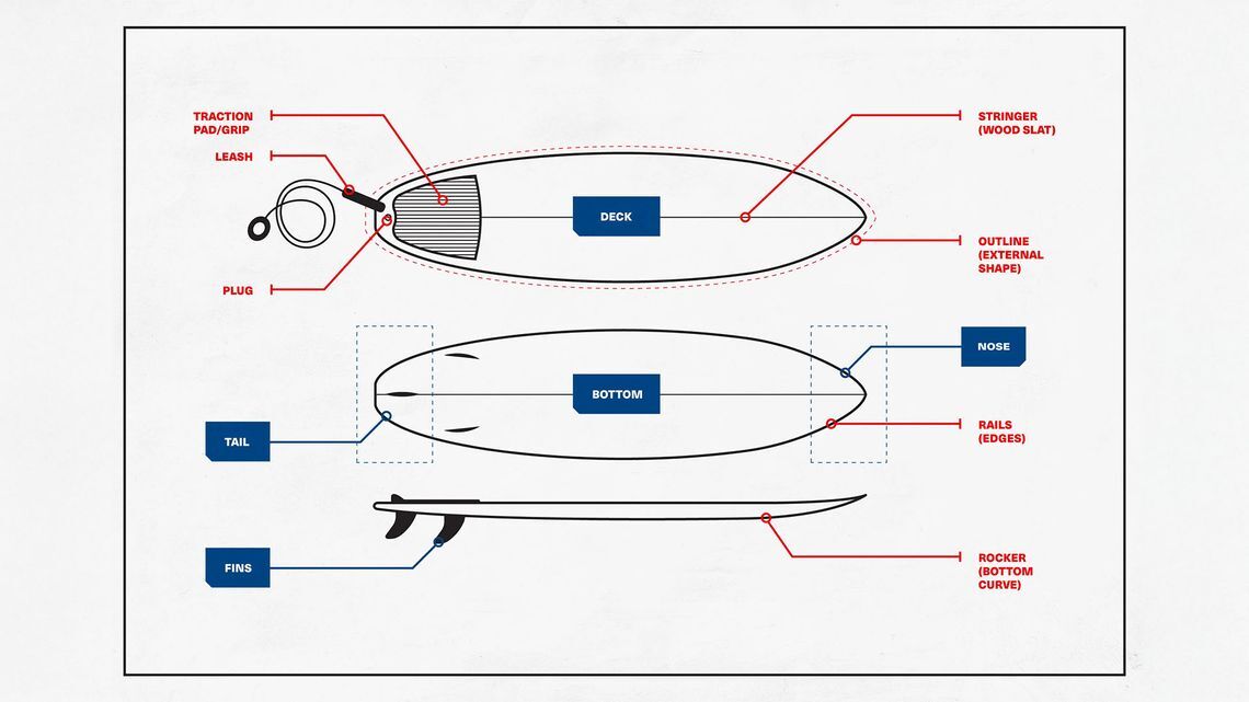 Anatomy of a Surfboard