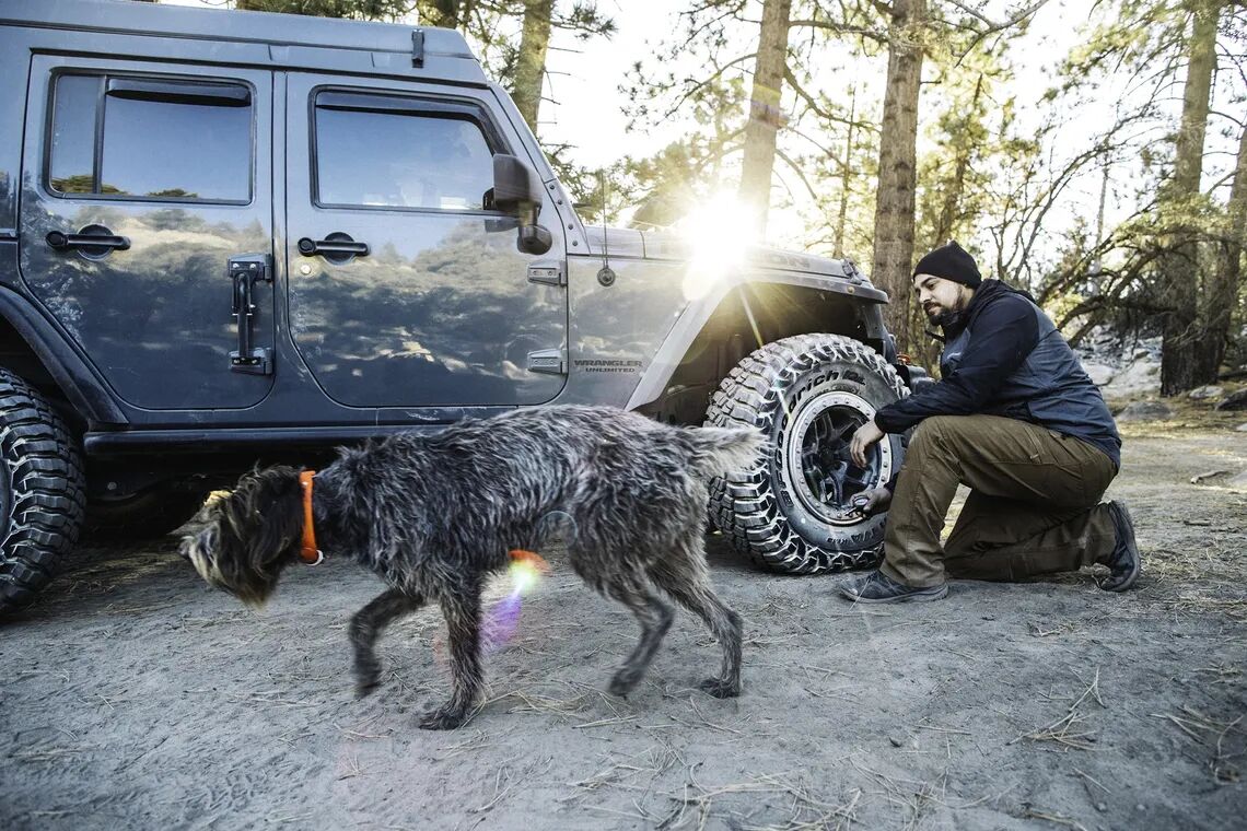 cjnuhjg6i152c0oqfquvwpos1 km3 jeep dog max