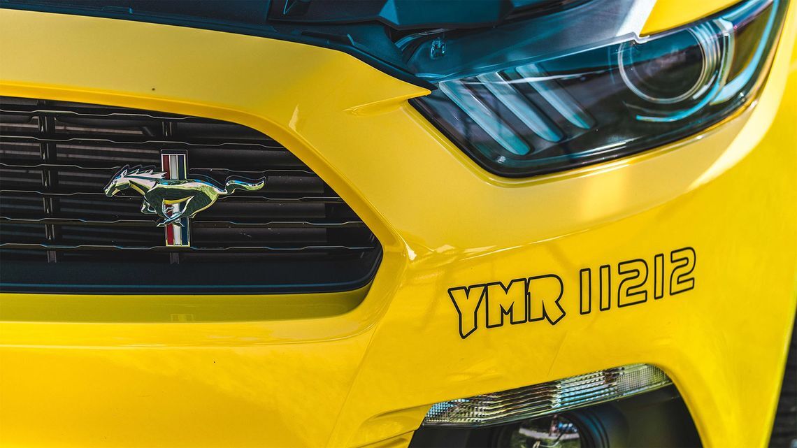 One Big Yellow Family