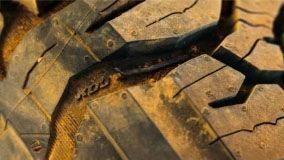 f2opoe2mv6p0pgcyan54k2qp mask group 21 full